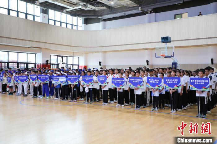 2025全国青少年板球锦标赛重庆开幕 板球将亮相